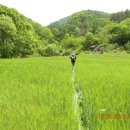 안터목장 이미지