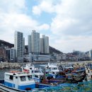 암남공원로 이미지