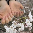 살롱드BMGS래쉬네일 남양주다산점 | [다산] 봄맞이 살롱드래쉬&네일 남양주다산점 원컬러 후기(feat. 다산역 네일)
