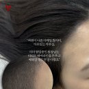 코라인 헤어 이미지