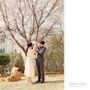 단미스냅