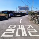 성산읍 고성리마을회관 | 제주 올레길, 제주 올레 트레일 2코스 걷기 (2)