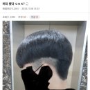 디씨헤어 Daum카페
