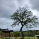 합덕한의원 이미지