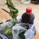 지리산 칠선계곡 토속식품 이미지