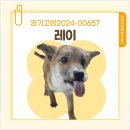 경기켄넬 이미지