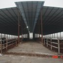 산동목장 이미지