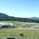 동서목장 이미지