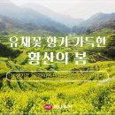 향기가득이마트 이미지