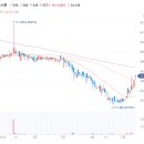 소노하이브 이미지