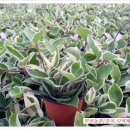 상훈2농장 이미지