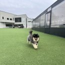 레인바우 네이버블로그
