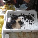 상연농장 이미지