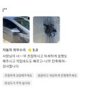 제이디모터스 이미지