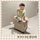 주식회사 장바구니마트 | 도그독 폴딩카트 내돈내산 아기 타는 장바구니 캐리어