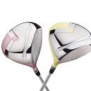 아이리스 이미지