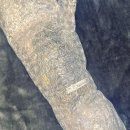 웰빙365다이어트 이미지