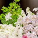 라마다군산호텔 이미지