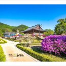 청도여관 | 25 청도 운문사 답사기1