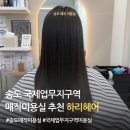 하리헤어 | 송도 매직 잘하는 곳｜국제업무지구역 미용실 하리헤어 반곱슬 매직 후기
