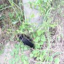 용초화장실 이미지