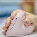 파워포인터 | 인체공학 무소음 무선 로지텍 버티컬 마우스 LIFT 핑크 내돈 장단점 리뷰