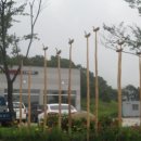 황가네식당 이미지