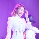 다미 이미지