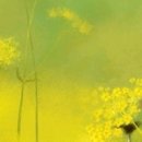 Memory of  이미지