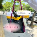소사체육관(태권) | 부천자유수영 소사국민체육센터 사람 미쳤어요 솔직후기