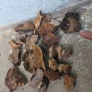 이동IC주유소 이미지