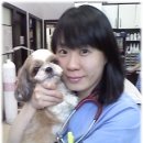 미리내동물병원 이미지