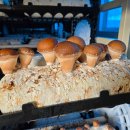 다양한 버섯을 활용한 건강한 요리 이미지