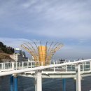 묵호바다협동조합 이미지