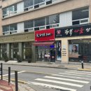 라노브헤어