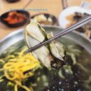 통영 향남동 현지인 내돈내산 맛집 중앙 서호 시장 근처 통통칼국수 메뉴