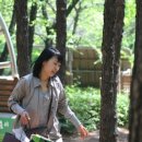 수리산 산림욕장 이미지