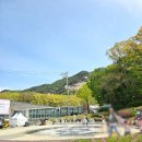 지에스25 은행나무사거리점 | [2026. 4.]중계 은행사거리 탐방_불암산 철쭉제 실시간 개화 현황 &amp; 근처 맛집 중화요리 '이소', 카페...