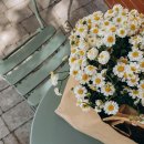 빠른부업 | 퇴근 후 30분, 조용히 쌓이는 수익의 흐름 (타이핑 부업 후기)