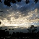 종로오가약국 이미지