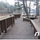 (주)초당산업 - 729 | (주)초당산업
