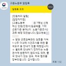 대구지방노동청 | [1] 임금체불 노동부 신고하기 :: 체불급여 진정부터 대지급금 신청까지(대구노동청)