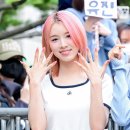 루시N헤어 OSEN