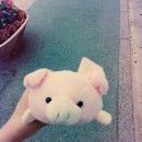 예체안경 | [무주반딧불축제후기] 무주감성이 다녀온 2014 무주 반딧불축제! <Ver.2>