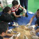 “버섯사관학교에서 재배, 육종기술 배우세요”- 재배 교육은 귀농인, 일반인 대상 교육 신청은 4~10일까지 받아- 이미지