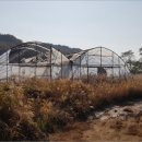 실미들 네이버블로그