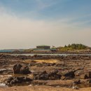 동일리-10 이미지