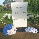 유구색동수국협동조합 이미지