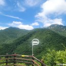 동촌자동차정비 | [경북/대구] 시원한 바람과 즐긴 여름, 팔공산케이블카