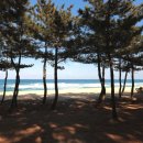 강릉 바다 공인중개사사무소 이미지